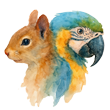 ardilla-guacamayo-icon